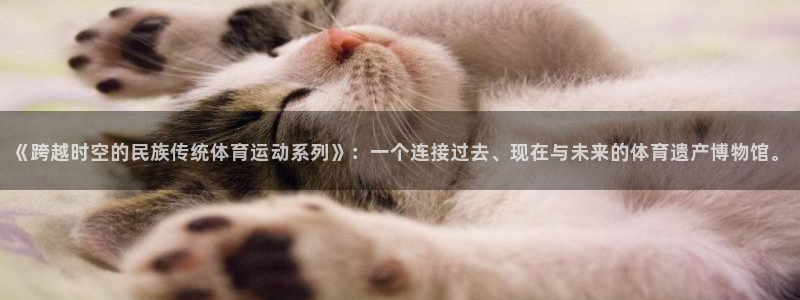 k1体育十年品牌官网：《跨越时空的民族传统体育运动系列》：一个连接过去、现在与未来的体育遗产博物馆。