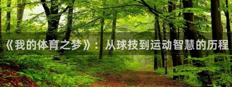 k1体育十年品牌：《我的体育之梦》：从球技到运动智慧的历程