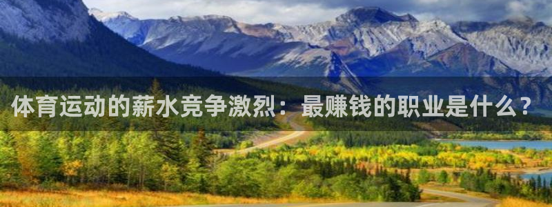 k1体育app下载链接：体育运动的薪水竞争激烈：最赚钱的职业是什么？