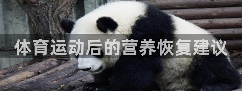 k1体育十年品牌值得信赖：体育运动后的营养恢复建议