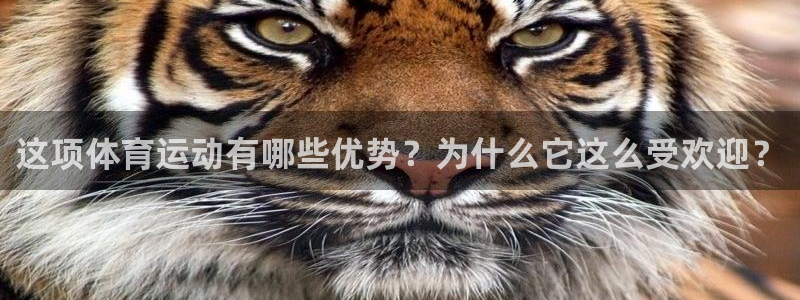 k1体育平台最新网站下载