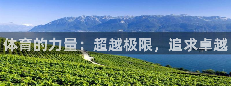 k1体育十年平台
