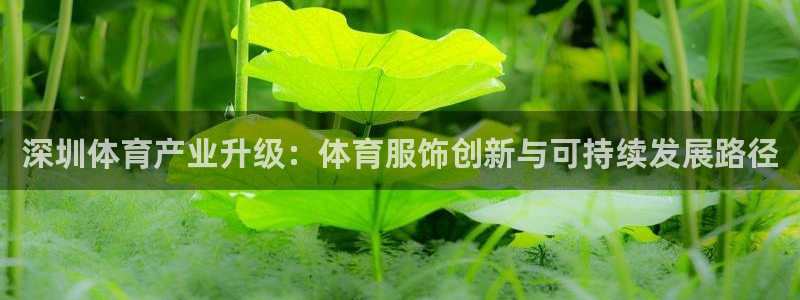 k1体育链接：深圳体育产业升级：体育服饰创新与可持续发展路径